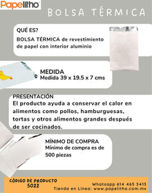 BOLSA TERMICA CON PET SIN IMPRESION 19.5 X 7 X 39 cm. Presentación 500 bolsas