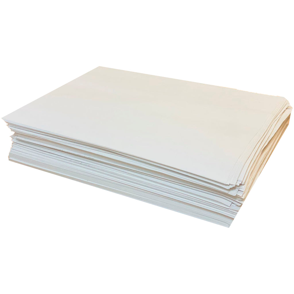 Papel para Tortillas Revolución bulto con 10 Kg